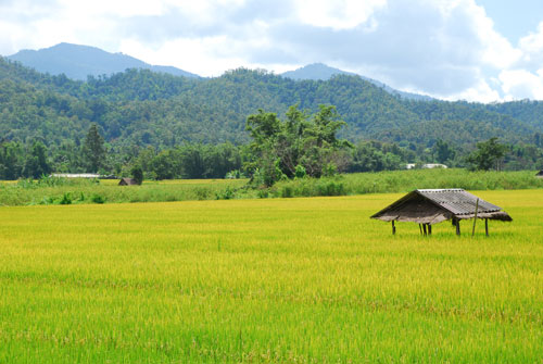 เชิญชวนนักเรียนและบุคคลทั่วไปร่วมประกวดเฟสบุ๊คเพื่อการท่องเที่ยว